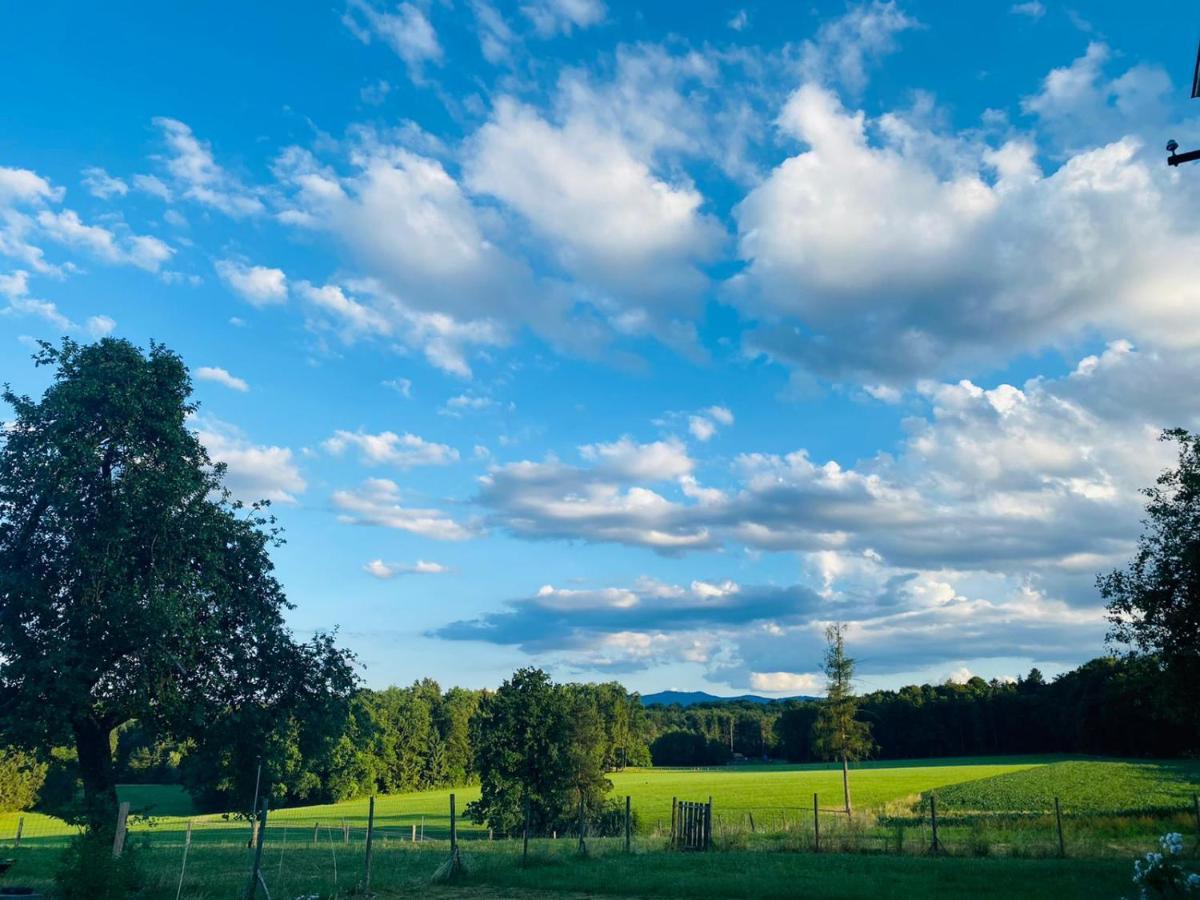 Sulb Lebenshof Varm - Die Vegane Farmヴィラ エクステリア 写真